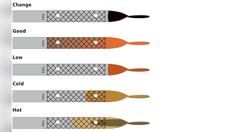 How to Read Dipstick for Oil