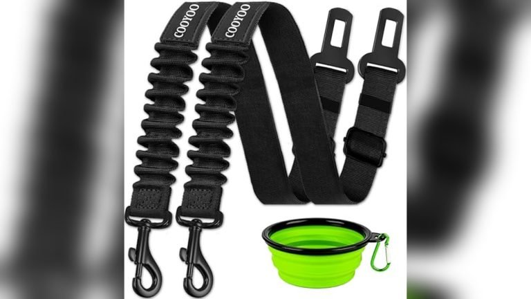 5 Best Dog Seat Belts for Safety: Top Picks & Honest Reviews
