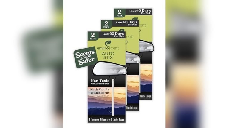 5 Best Natural Car Air Fresheners for a Clean and Fresh Ride